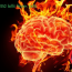 WARNING: MSG Kills Brain Cells!