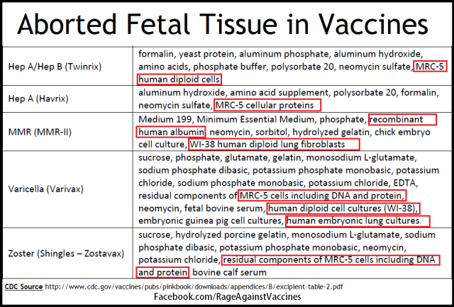 Fetal cell cultures vaccines